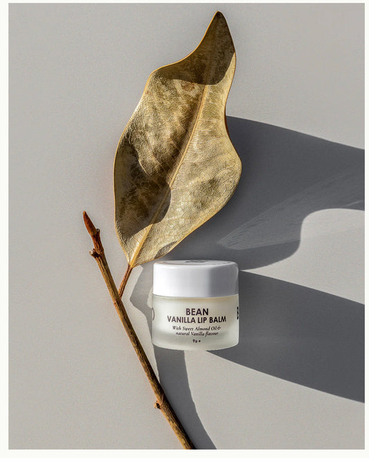 Bean Vanilla Lip Balm
